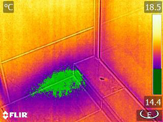 IR showing shower leak (2)